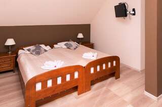 Отели типа «постель и завтрак» Artemis Дравско-Поморске Большой двухместный номер с 1 кроватью-16